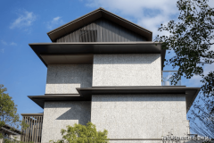 兴际成长至今46年