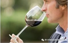 家有儿女的宝爸宝妈学会了自创饼干